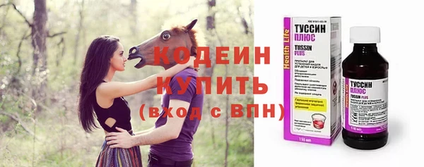 амф Ельня