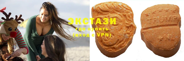 амф Ельня