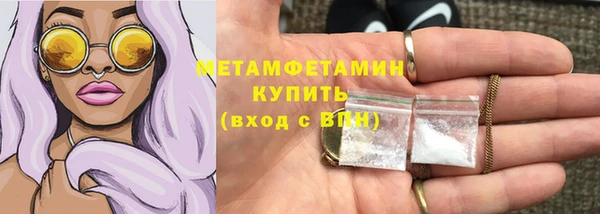 амф Ельня