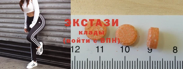 амф Ельня
