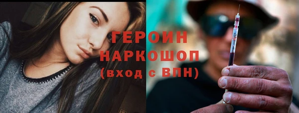 гашик Елизово