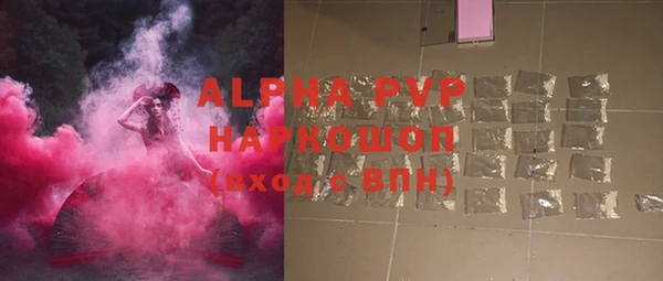 амф Ельня