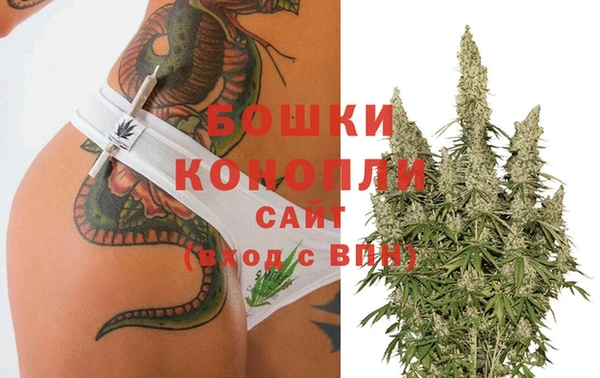 гашик Елизово