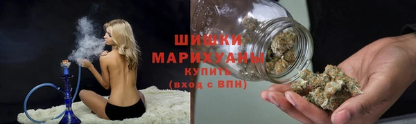 амф Ельня