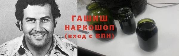 амф Ельня