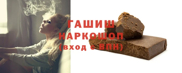 амф Ельня
