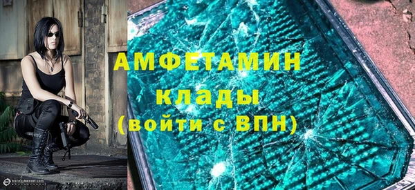 амф Ельня