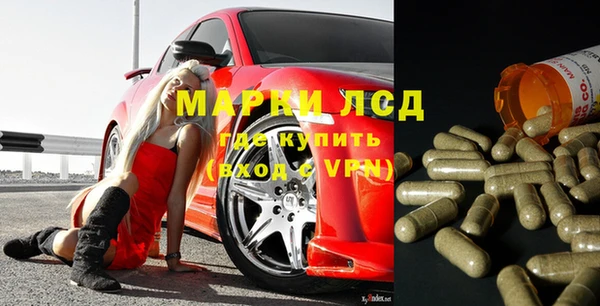 амф Ельня