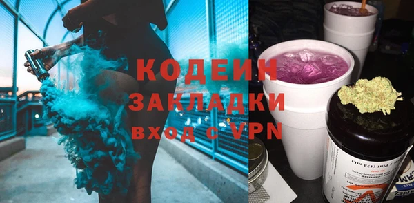 амф Ельня