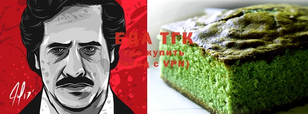 амф Ельня