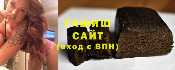 амф Ельня