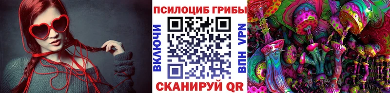 Псилоцибиновые грибы Cubensis  Купить закладки  Мончегорск 
